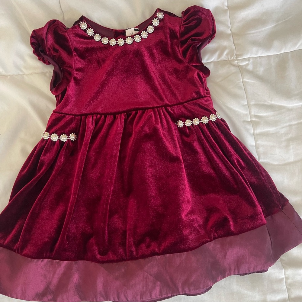 Burgundy Velvet Dress with Floral Accents